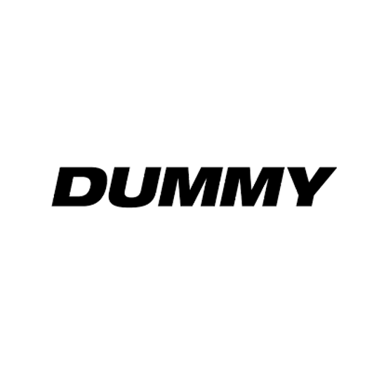 Picture of Dummy - 1